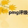 pmg评级数量查询报告（pmg评级）