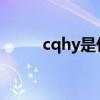 cqhy是什么意思（cqy什么意思）