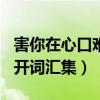 害你在心口难开词汇集100个（害你在心口难开词汇集）