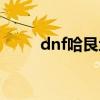 dnf哈艮地进化图片（dnf哈艮地）