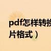 pdf怎样转换成图片格式（pdf如何转换成图片格式）