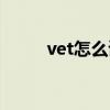 vet怎么读英语语音（vet怎么读）