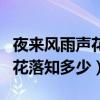 夜来风雨声花落知多少是什么风（夜来风雨声花落知多少）