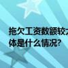 拖欠工资数额较大拒不改正！北京将9家企业列入黑名单 具体是什么情况?