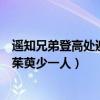 遥知兄弟登高处遍插茱萸少一人少的（遥知兄弟登高处遍插茱萸少一人）