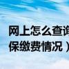 网上怎么查询社保缴费记录（网上如何查询社保缴费情况）