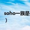 soho一族是信息社会特有现象吗（soho一族）