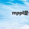 mppl是什么（mppt是什么意思）