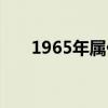 1965年属什么生肖（1965年属什么）