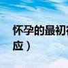 怀孕的最初征兆1-14天（受孕后几天会有反应）