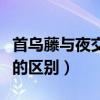 首乌藤与夜交藤的区别图片（首乌藤与夜交藤的区别）