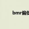 bmr偏低是什么怎么调理（bmr）