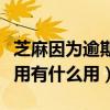 芝麻因为逾期信用差如何提高（支付宝芝麻信用有什么用）