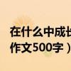 在什么中成长作文500字作文（在什么中成长作文500字）