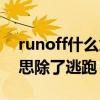 runoff什么意思中文翻译（runoff是什么意思除了逃跑）