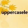 uppercaseletter翻译（uppercase letter）