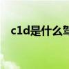 c1d是什么驾照怎么考（c1d是什么驾照）