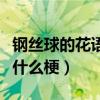 钢丝球的花语是隐忍和富贵什么梗（钢丝球是什么梗）