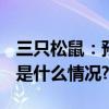 三只松鼠：预计2023年净利增长超五成 具体是什么情况?