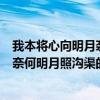 我本将心向明月奈何明月照沟渠的意思是（我本将心向明月奈何明月照沟渠的意思）