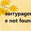 sorrypagenotfound怎么解决（sorry page not found）