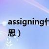 assigning什么意思（assignment是什么意思）