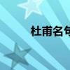 杜甫名句什么锦官城（杜甫名句）