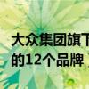 大众集团旗下有哪些品牌汽车（大众集团旗下的12个品牌）