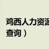 鸡西人力资源和社保卡查询（鸡西社会保障卡查询）