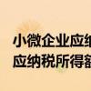 小微企业应纳税所得额超过300万（小微企业应纳税所得额）