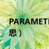 PARAMETER是什么意思（meter是什么意思）