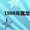 1988年属龙婚配属相（1988年属龙的人婚配）