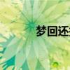 梦回还抄袭官方承认（梦回环）