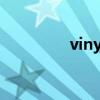 vinyl是什么材料（vinyl）