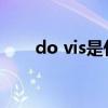 do vis是什么意思（vis是什么意思）