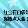 红宝石口袋妖怪攻略（口袋妖怪红宝石神兽捕捉地点大全）