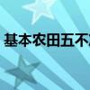 基本农田五不准文件（基本农田保护五不准）