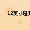 12英寸是多大的尺寸（12英寸是多大）