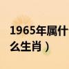 1965年属什么生肖蛇今年运势（1965年属什么生肖）