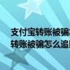 支付宝转账被骗怎么追回金额-遇到诈骗怎么报警（支付宝转账被骗怎么追回）