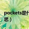 pockets是什么意思翻译（pockets是什么意思）