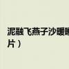 泥融飞燕子沙暖睡鸳鸯图片 简单（泥融飞燕子沙暖睡鸳鸯图片）