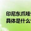 印尼东爪哇省发生一起交通事故致4死36伤 具体是什么情况?