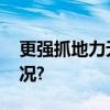 更强抓地力无惧极端天气极固 具体是什么情况?