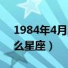 1984年4月21日是什么星座（4月21日是什么星座）