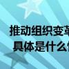 推动组织变革创新TCL入选哈佛商学院案例库 具体是什么情况?