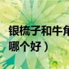 银梳子和牛角梳子哪个更好（银梳子和牛角梳哪个好）