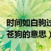 时间如白驹过隙世事如白云苍狗的意思（白云苍狗的意思）