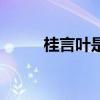 桂言叶是谁（桂言叶黄毛完整版）