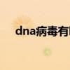 dna病毒有哪些症状（dna病毒有哪些）